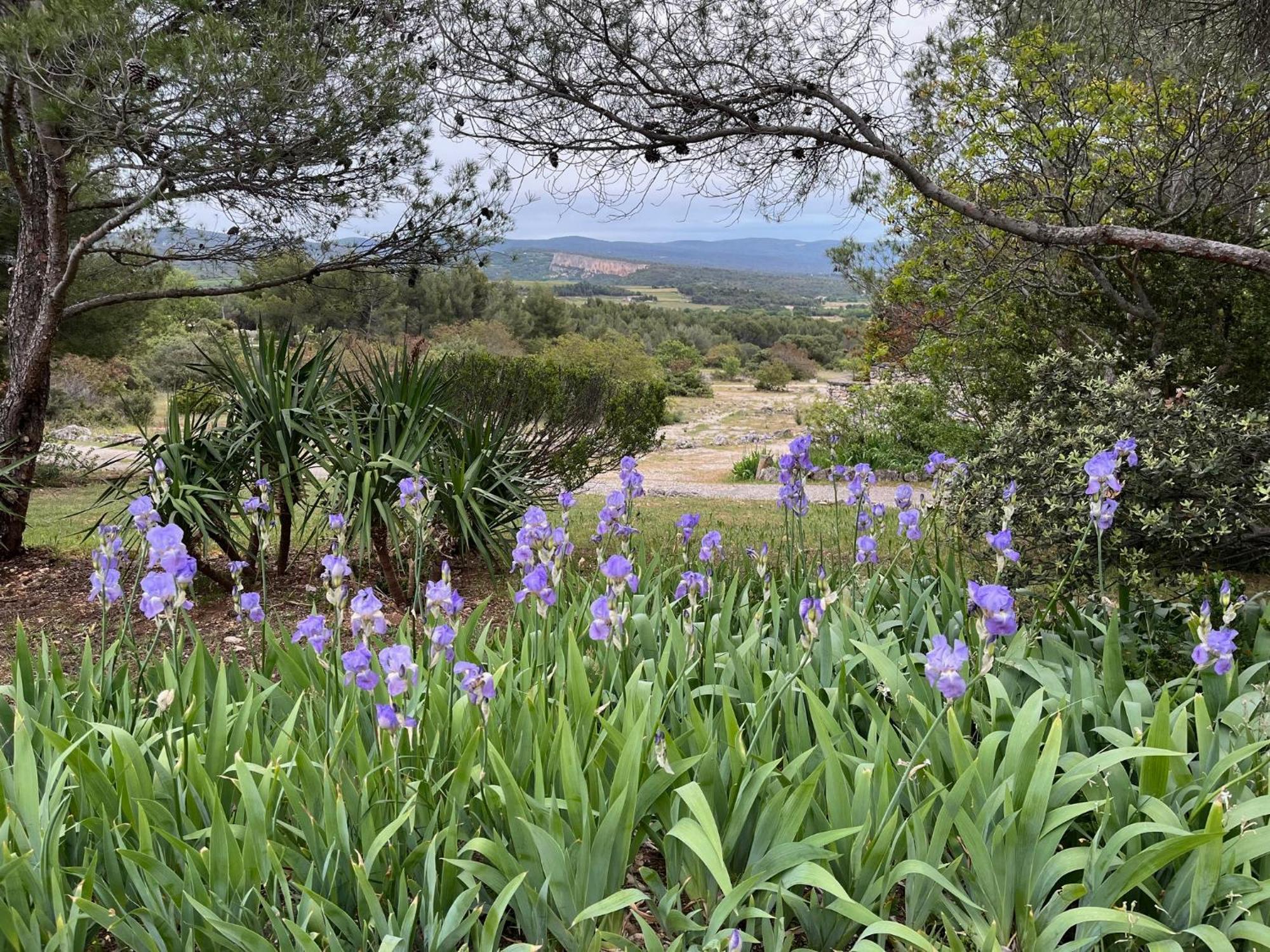 Lovely Views In Secret Provence Joucas Exteriör bild