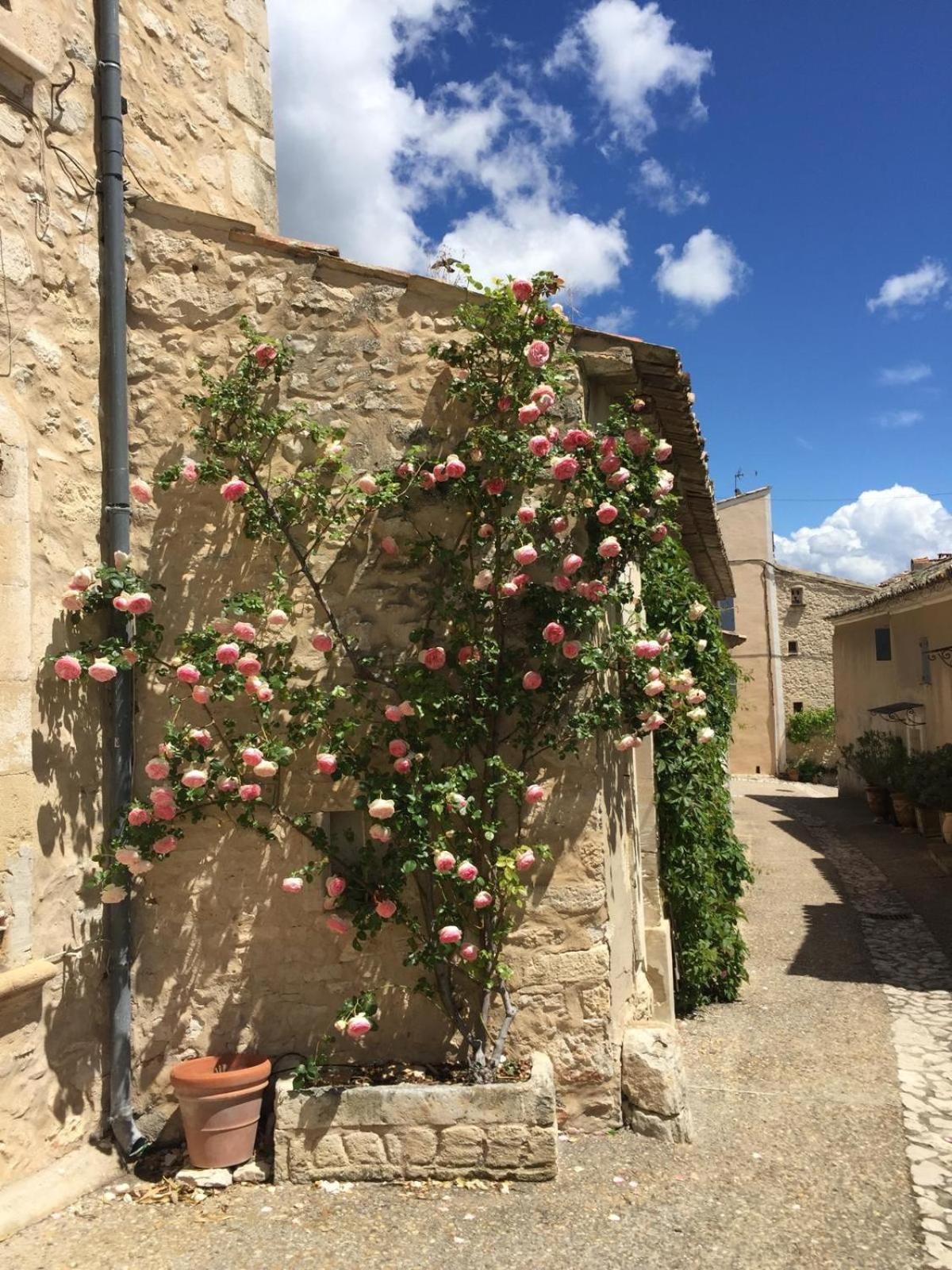 Lovely Views In Secret Provence Joucas Exteriör bild
